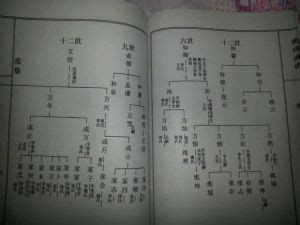 張氏族譜查詢|全球最大的族譜研究組織